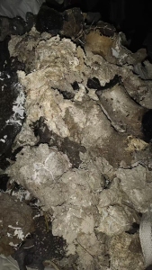 长期出售PE电池膜机头料