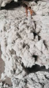 长期出售毛毛料，涤纶磨毛料