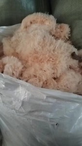 长期出售涤纶碎丝，涤纶废丝，浙江金华