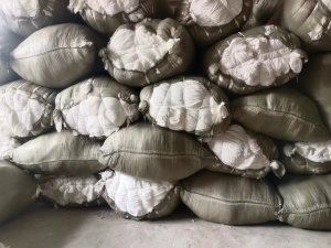 福建福州求购经编厂白胚布~白布头(锦氨成份口罩耳带白色/包心纱白色)。