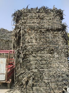 出售滴灌带毛料，主管占5%，现货50吨