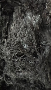 长期出售涤纶低弹丝，目前还有几吨货，厂在河北保定