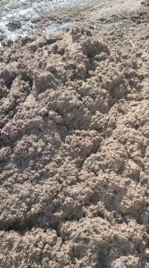 长期出售洗皮浆,纸浆