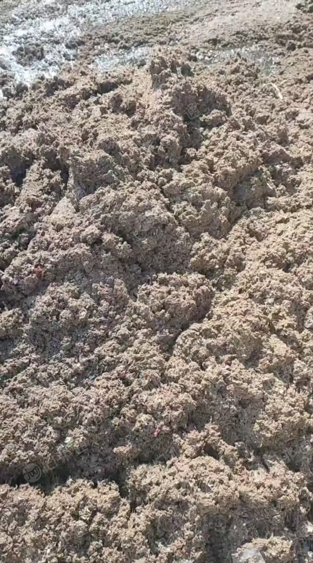 长期出售洗皮浆,纸浆