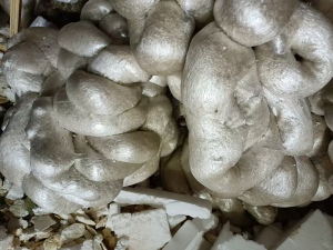出售热熔块,全部是泡沫箱熔的