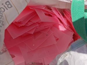 出售PP空心板废料，月供60吨