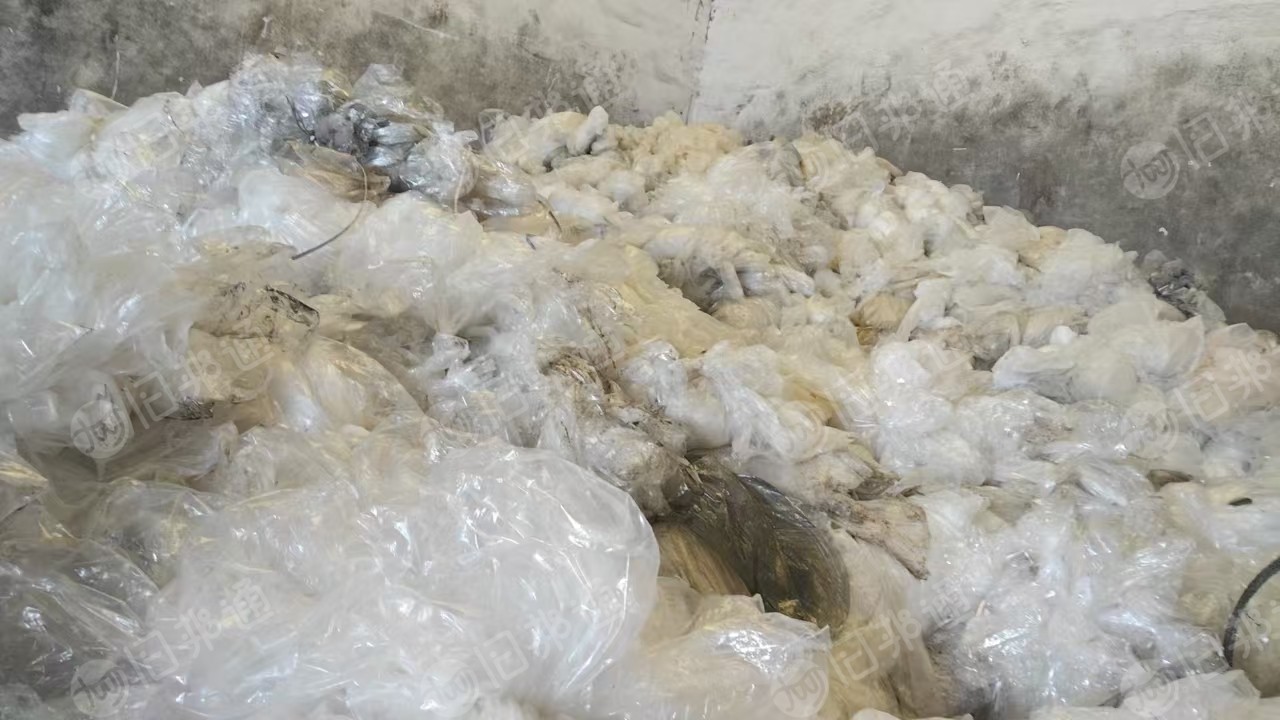 出售变色龙带管芯膜,也有高压膜