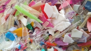 出售PP分色丙，红蓝丙破碎料，全漂清洗甩干