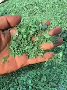 出售干粉PET打包带破碎料，长期供货