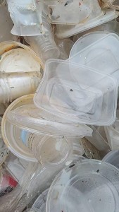 出售透明丙压块，餐盒压块，月供10吨