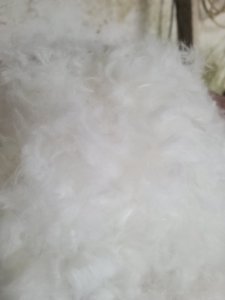 长期出售短羊毛料