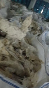 出售PET机头料，造粒下来的，现货15吨左右