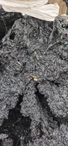 出售pp排渣料，机头料，现货5吨，长期有货