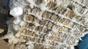 出售一级，二级水洗高压膜，现货60吨，出8.5折，一级高压膜现货60吨