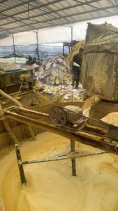 厂家大量收购废不干胶纸，无膜和带膜都可以