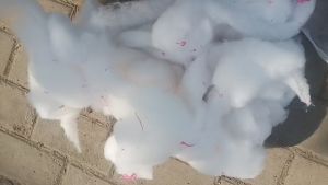 长期出售服装厂下来的丝绵下脚料，丝绵