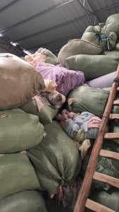 长期大量出售氨纶废布，浅色氨纶废布，混色氨纶废布，月供100吨以上