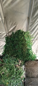 长期出售pet打包带废料，绿色黑色都有