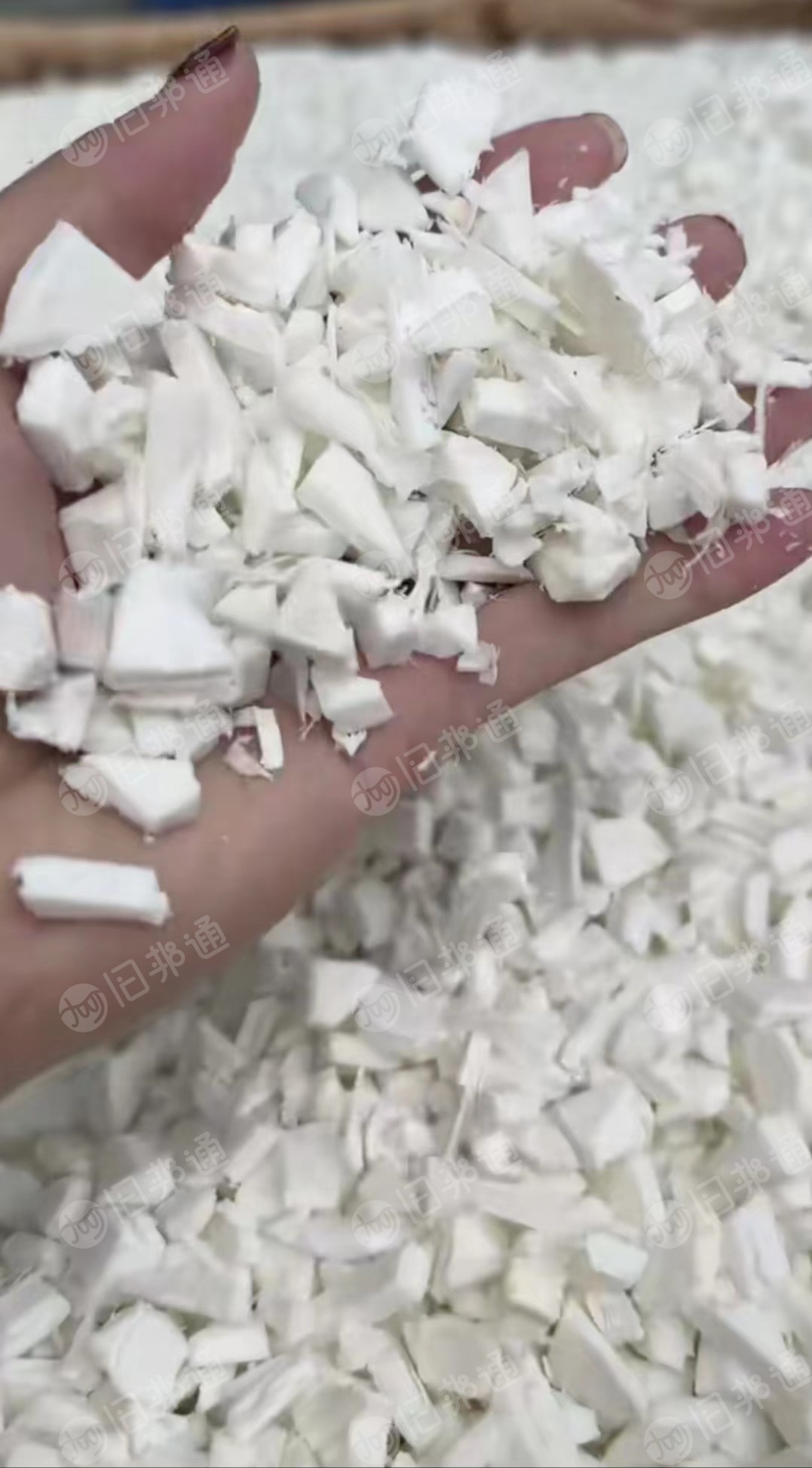 长期出售奶白pp板材破碎料，现货20吨