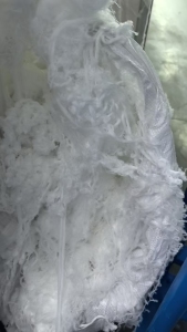 长期出售涤纶低弹丝，涤纶废丝，涤纶干丝，月供百来吨