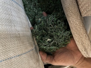 长期出售PET打包带破碎料