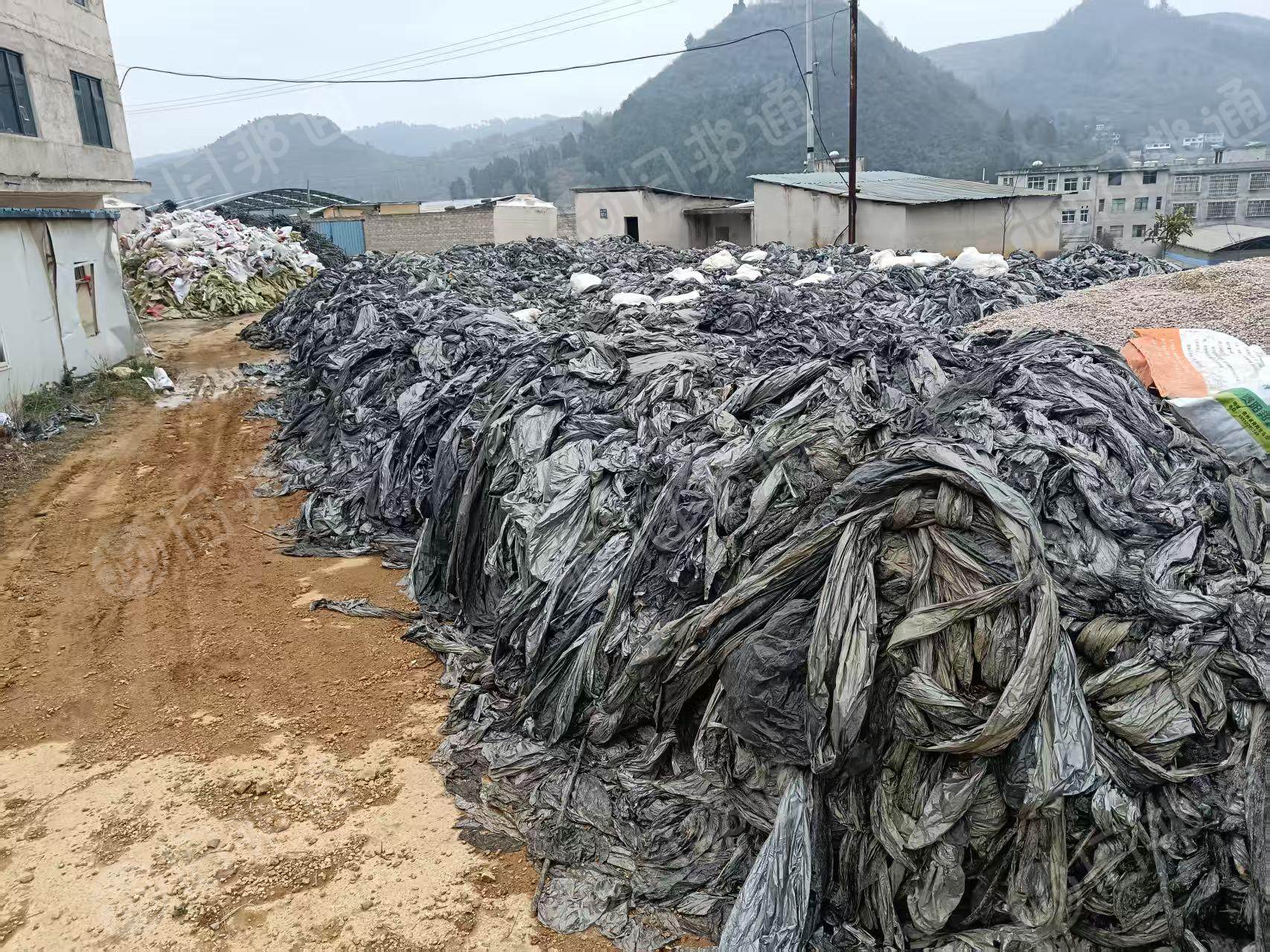 出售PE地膜废料,现货100多吨