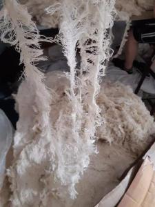 求购涤纶布边纱,或者纯棉的,现需2个柜,上海
