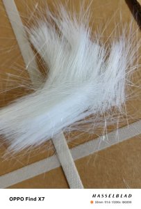 长期出售涤纶干丝，白色，灰色都有，有长的有短的，白色现货20多吨，灰色现货10多吨，厂在山东泰安