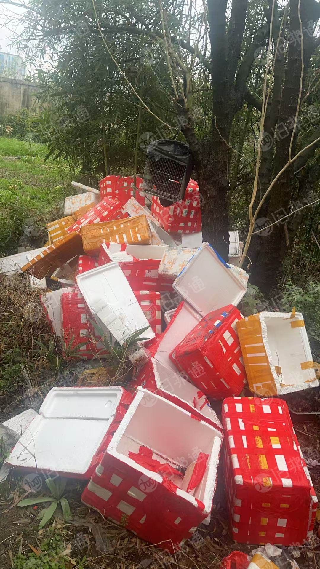 出售EPS泡沫箱废料,现货有很多
