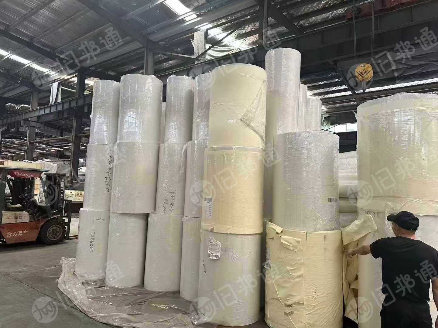 大量求够口杯卷纸，淋膜卷纸，200克一300克