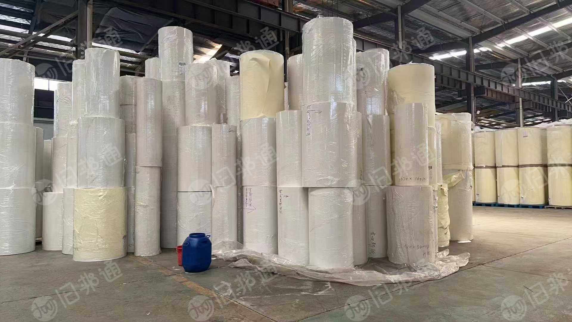大量求够口杯卷纸，淋膜卷纸，200克一300克