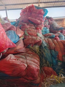 长期出售PP打包带毛料