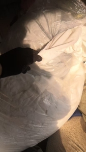 出售涤纶废布，窗帘布，什么颜色都有，现货有5吨左右，货在河南许昌