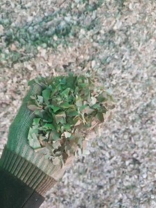 长期出售中性pvc墙纸破碎料