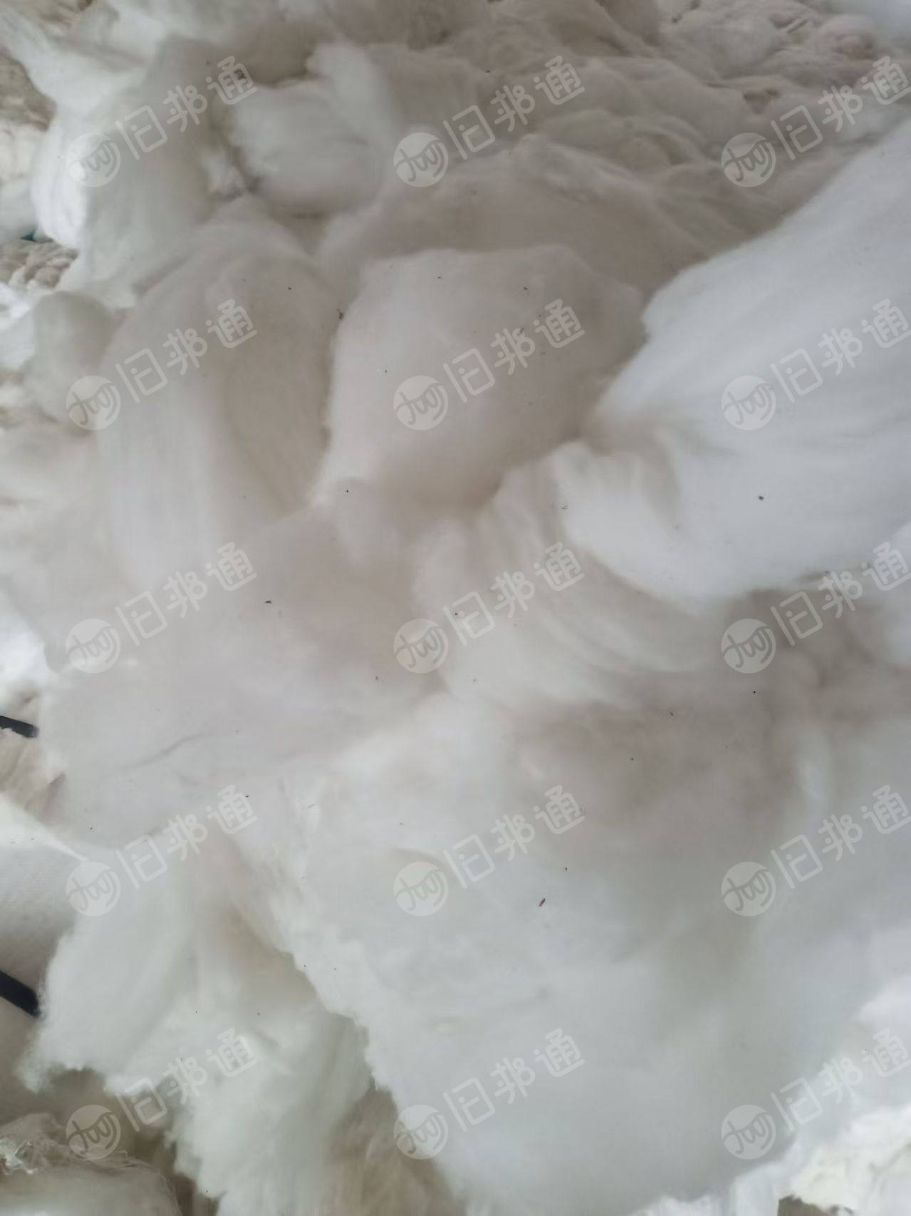长期出售梳棉机下来的纯涤纶棉絮,厂在河北石家庄