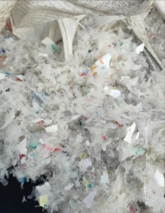 长期出售全漂pp商标纸风选料