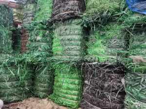 出售PET打包带毛料，现货十来吨，长期有货