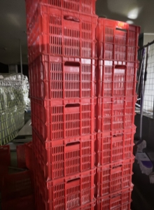出售食品厂拆解下来食品框,有几万个
