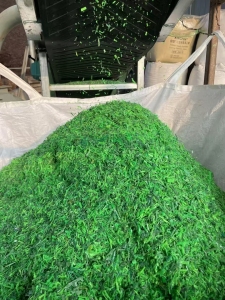 长期出售水破Pet打包带破碎料