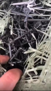 长期出售水口料，多种材质混和在一起，现货20多吨