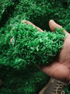 出售PET打包带破碎料，黑色和绿色都有