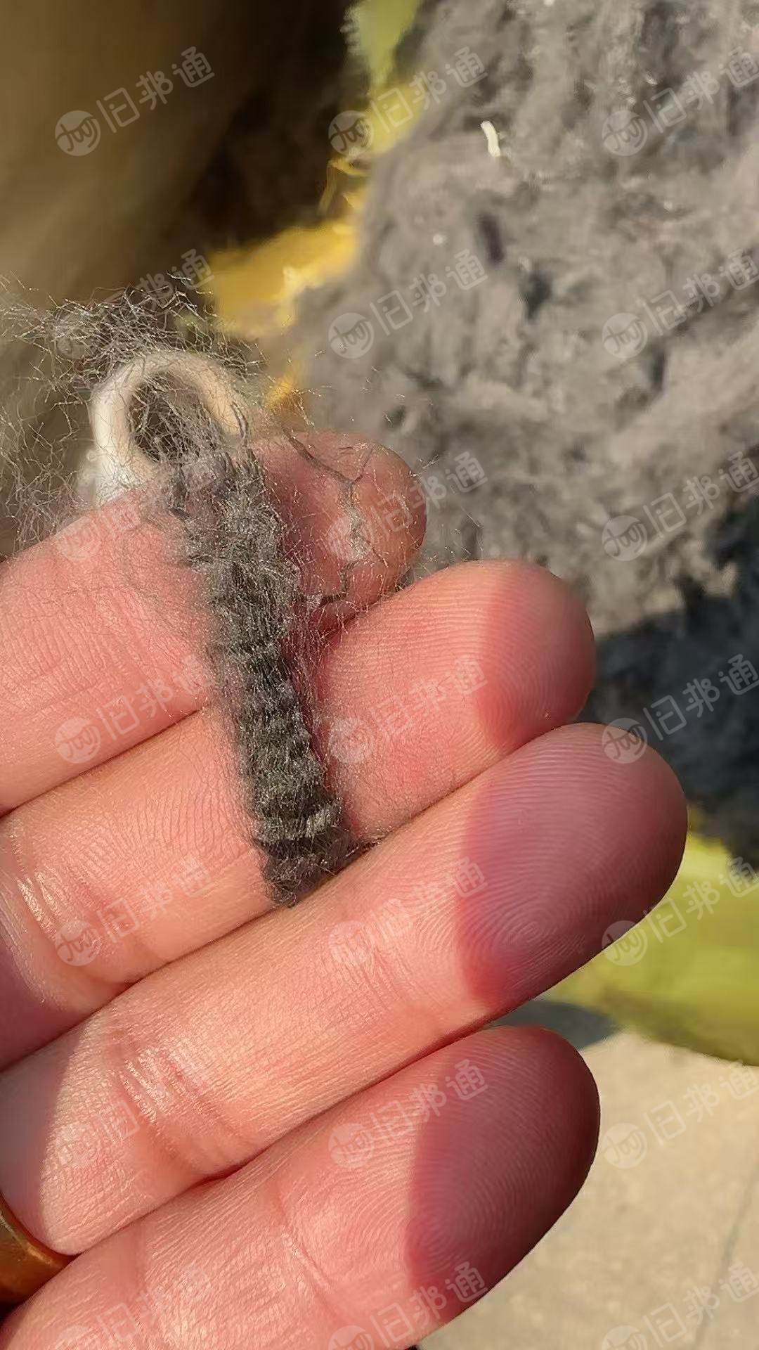现货处理一批PE/PET短纤,都是二等品,白色30多吨,灰黑15吨左右,货在浙江嘉兴