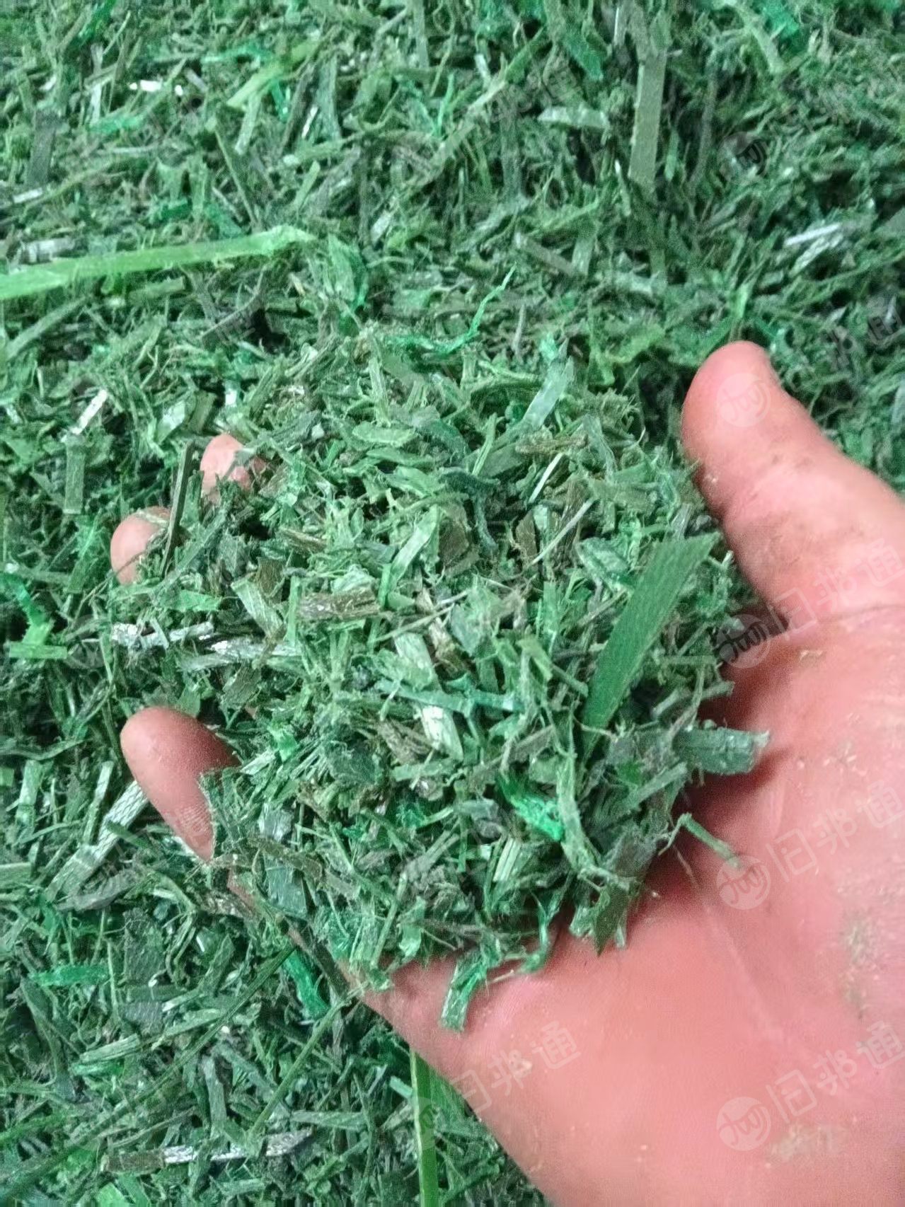 长期出售打包带pet粉碎料