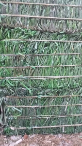 出售PET打包带毛料，现货够挂