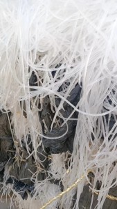 长期出售eva胶条，不带覆膜，现货10吨左右