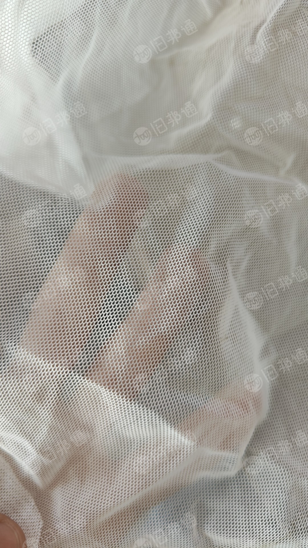 长期大量出售涤纶网布,不含胶布含浆,现货50吨,厂在江西九江