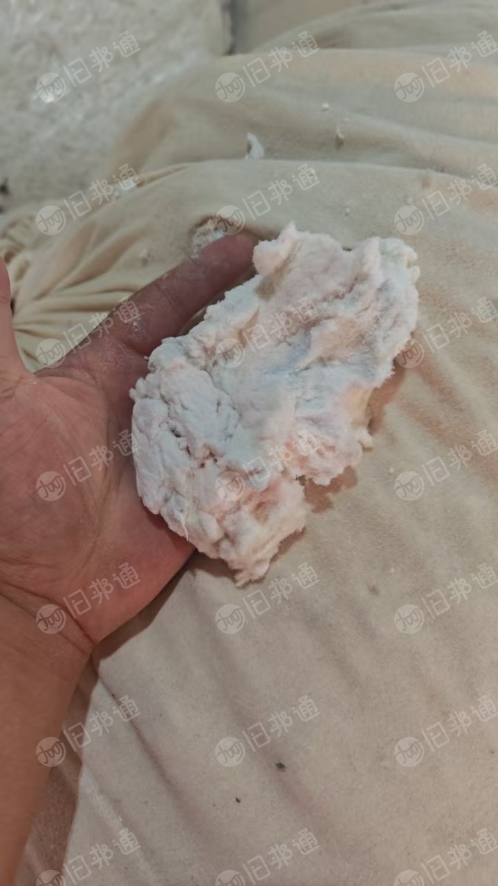 长期出售从棉布上刷下来的纯棉棉絮,每个月有20多吨货,厂在河南新乡