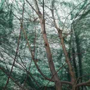 出售一批无纺布，军绿色的，现货2吨左右，厂在新疆伊犁