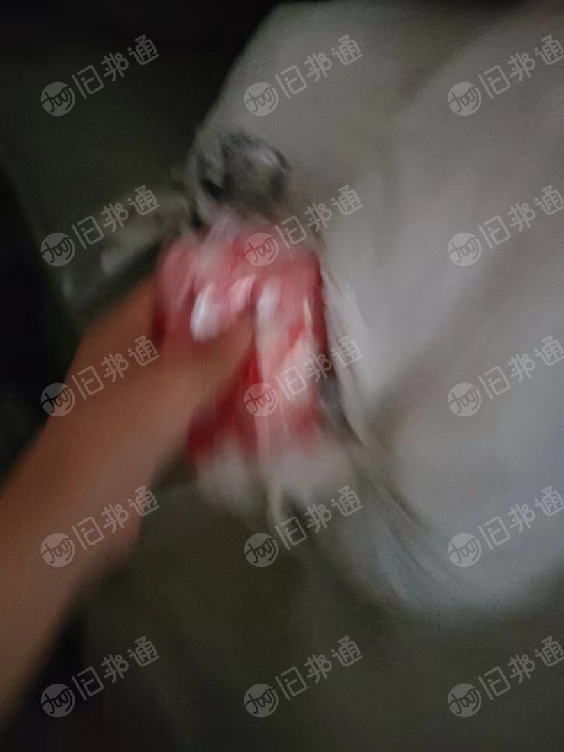 长期出售卷筒花色pof中温丙膜,现货15吨,冲击40以上,现货15吨