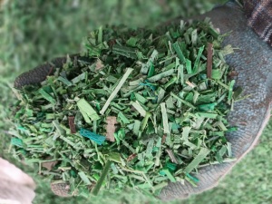 长期出售干粉pet打包带破碎料